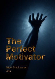The Perfect Motivator Book Cover